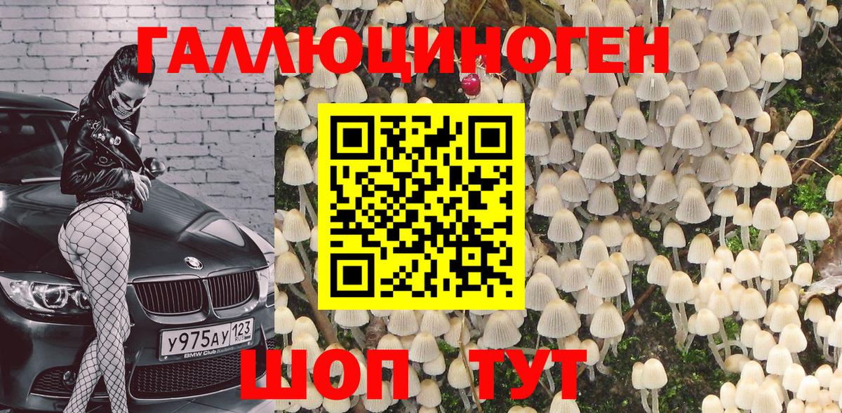 Псилоцибиновые грибы MAGIC MUSHROOMS  что такое наркотик  Клинцы  Вход с VPN 