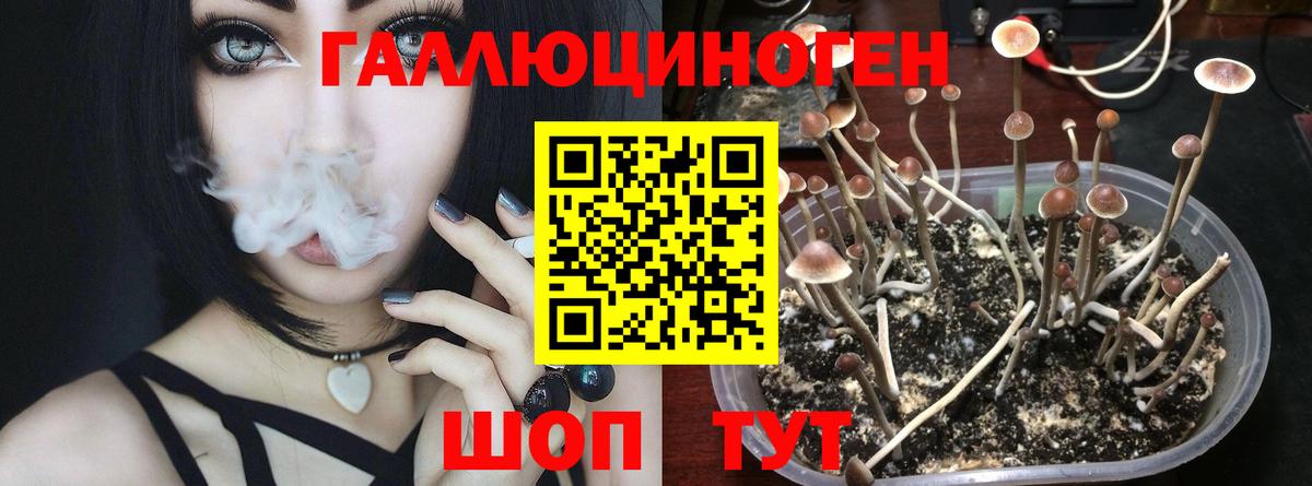 Галлюциногенные грибы мицелий Клинцы
